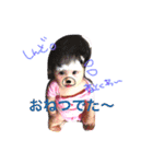 ゆったんの日常（個別スタンプ：15）