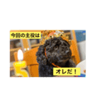 シンバ君（個別スタンプ：2）