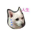 gogo！man-to（個別スタンプ：4）