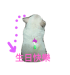 gogo！man-to（個別スタンプ：5）