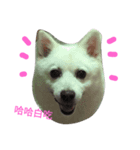 gogo！man-to（個別スタンプ：7）