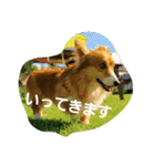 rpmnわんスタンプ（個別スタンプ：3）