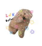 my dog .....（個別スタンプ：1）