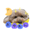my dog .....（個別スタンプ：3）