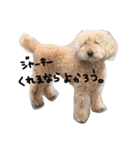 my dog .....（個別スタンプ：6）