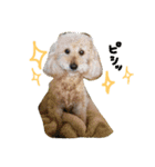 my dog .....（個別スタンプ：7）