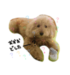 my dog .....（個別スタンプ：8）