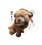 my dog .....（個別スタンプ：11）