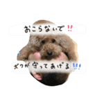 my dog .....（個別スタンプ：12）
