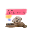 my dog .....（個別スタンプ：14）