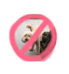 my dog .....（個別スタンプ：15）