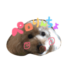 my dog .....（個別スタンプ：16）