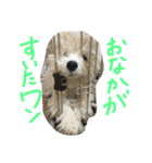 he is kaikun（個別スタンプ：2）