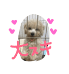 he is kaikun（個別スタンプ：9）