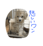 he is kaikun（個別スタンプ：12）