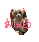 he is kaikun（個別スタンプ：14）