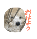 he is kaikun（個別スタンプ：15）