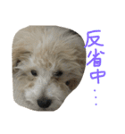 he is kaikun（個別スタンプ：16）