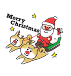 柴犬の大和と鈴のクリスマススタンプ（個別スタンプ：1）