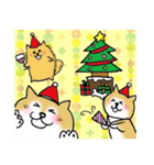 柴犬の大和と鈴のクリスマススタンプ（個別スタンプ：6）