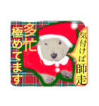 Merry Christmas Antity2017（個別スタンプ：1）