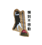Stupid Cats（個別スタンプ：14）