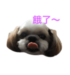 teaboylife（個別スタンプ：5）