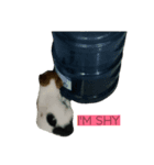 Jacqueline the funny rat terrier（個別スタンプ：8）