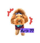 夢吉＆恵夢ちゃん（個別スタンプ：1）