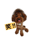 夢吉＆恵夢ちゃん（個別スタンプ：11）