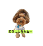 夢吉＆恵夢ちゃん（個別スタンプ：14）