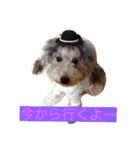 夢吉＆恵夢ちゃん（個別スタンプ：16）