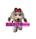 夢吉＆恵夢ちゃん（個別スタンプ：19）