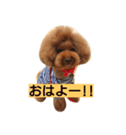 夢吉＆恵夢ちゃん（個別スタンプ：20）