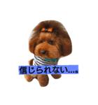 夢吉＆恵夢ちゃん（個別スタンプ：21）
