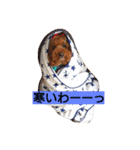 夢吉＆恵夢ちゃん（個別スタンプ：22）