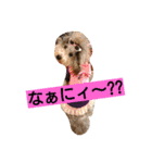 夢吉＆恵夢ちゃん（個別スタンプ：23）
