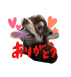 pino 2（個別スタンプ：2）