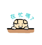Cocodog ＆ cucufox（個別スタンプ：1）