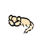 Cocodog ＆ cucufox（個別スタンプ：7）