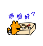 Cocodog ＆ cucufox（個別スタンプ：13）