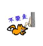 Cocodog ＆ cucufox（個別スタンプ：21）