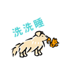 Cocodog ＆ cucufox（個別スタンプ：24）