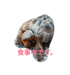 使えるトカゲラッシュ(笑)（個別スタンプ：15）