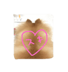 pomeranian enchan（個別スタンプ：14）
