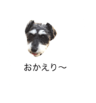 ラビです（個別スタンプ：1）