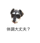 ラビです（個別スタンプ：9）