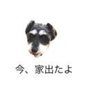 ラビです（個別スタンプ：10）