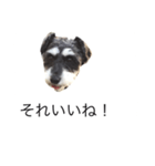 ラビです（個別スタンプ：15）