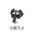 ラビです（個別スタンプ：18）
